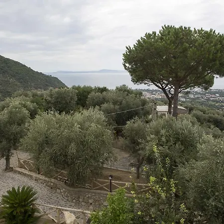 Appartamento Degli Ulivi Sant'Agnello