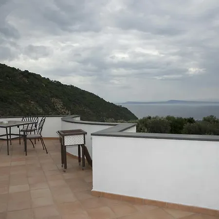Degli Ulivi * Sant'Agnello