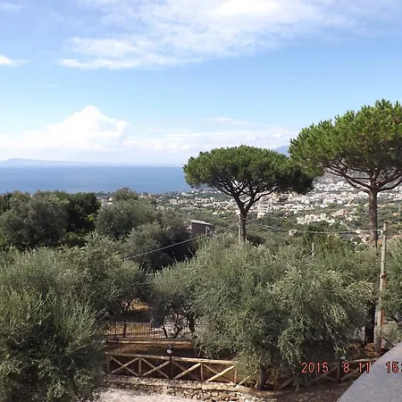 Appartamento Degli Ulivi Sant'Agnello