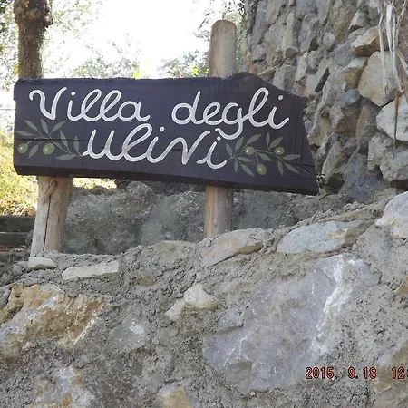 Degli Ulivi Sant'Agnello