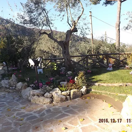 Degli Ulivi Appartamento Sant'Agnello
