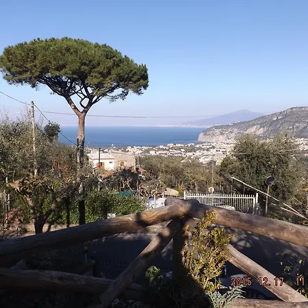 Degli Ulivi